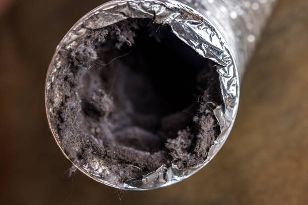 Best Air Duct Cleaning Near Me  in Lusby, MD