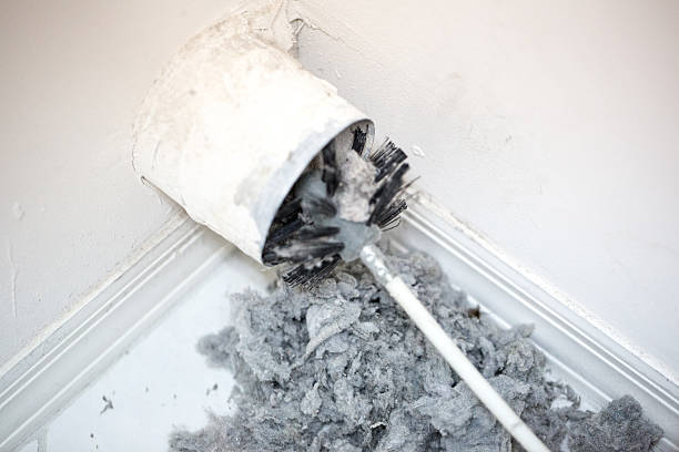 Best Air Duct Cleaning Company Near Me  in Lusby, MD